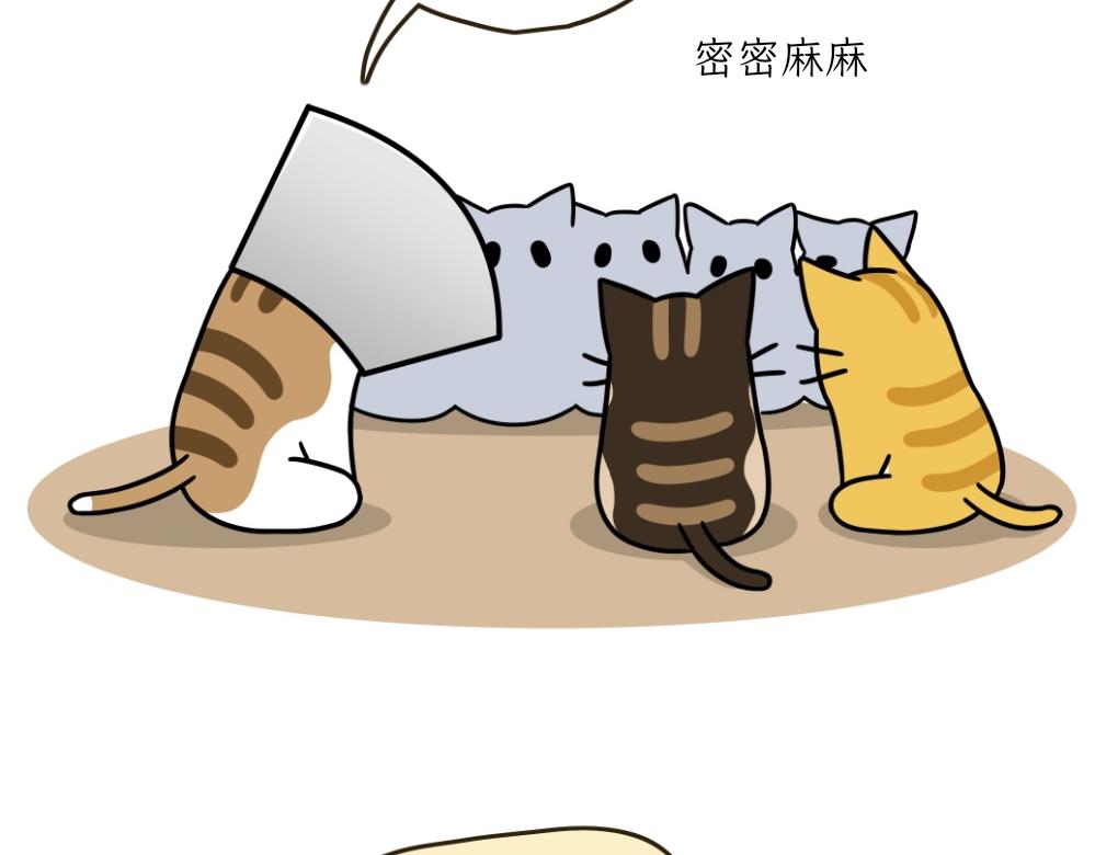 《吐司猫咪POUNDCAT》伊丽莎白圈 第26页