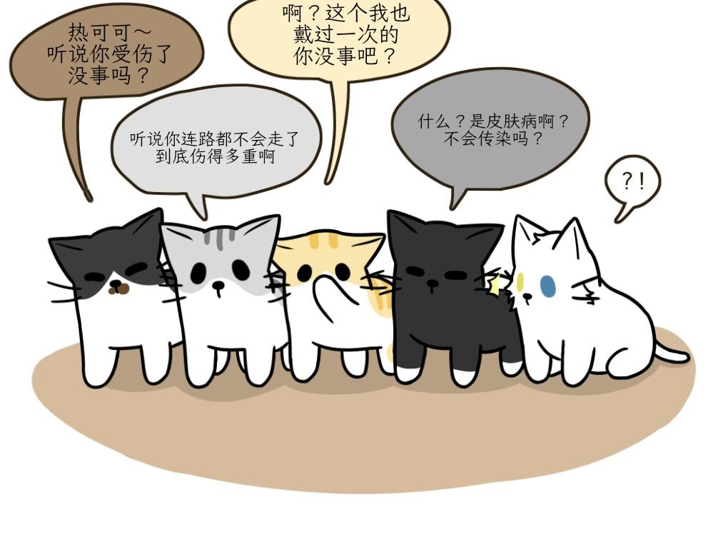 《吐司猫咪POUNDCAT》伊丽莎白圈 第27页