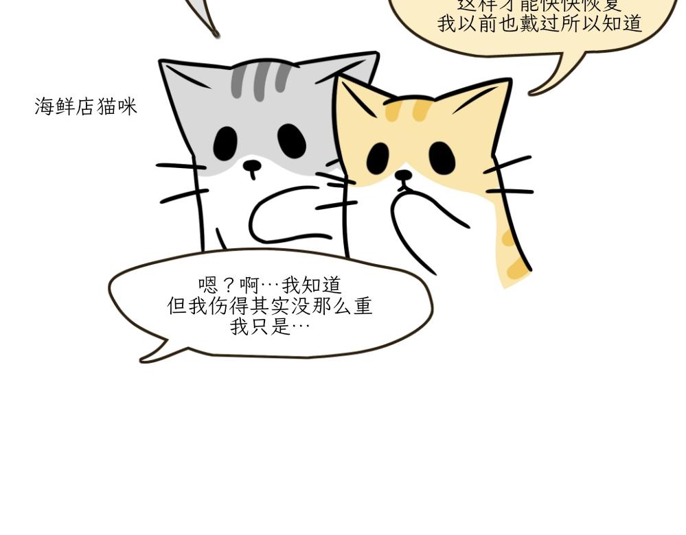 《吐司猫咪POUNDCAT》伊丽莎白圈 第32页