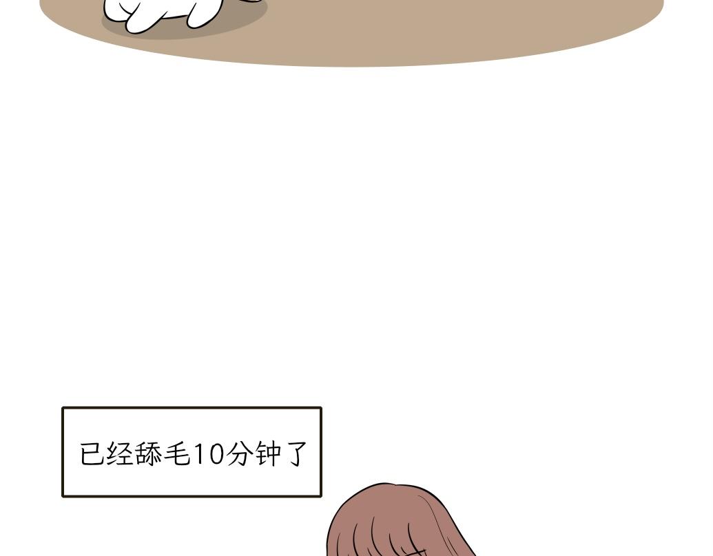 《吐司猫咪POUNDCAT》伊丽莎白圈 第5页