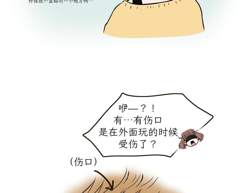 《吐司猫咪POUNDCAT》伊丽莎白圈 第8页