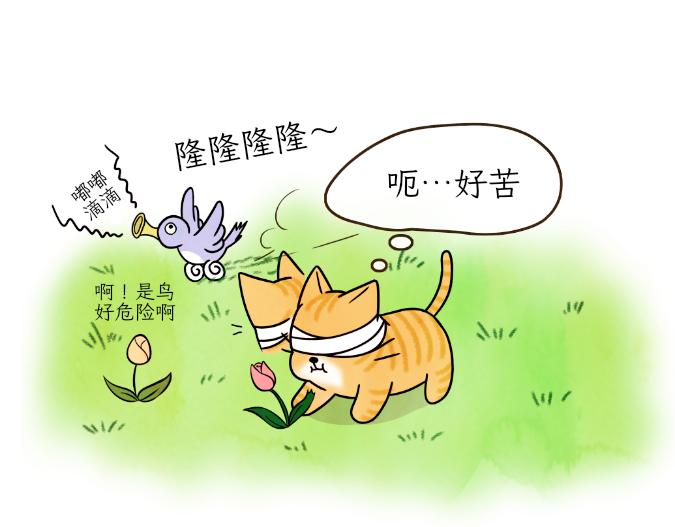 《吐司猫咪POUNDCAT》生命的故事 第10页