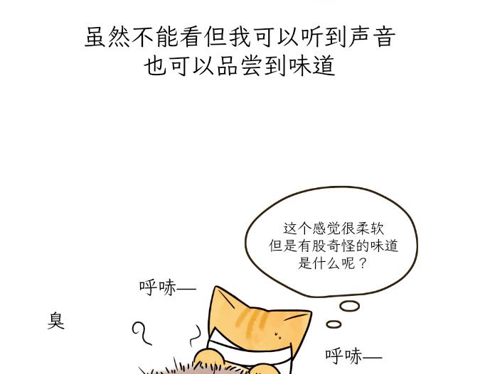 《吐司猫咪POUNDCAT》生命的故事 第11页