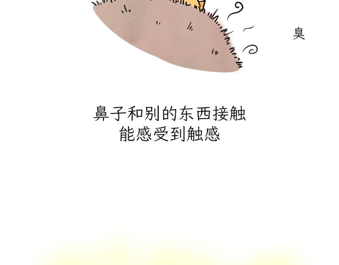 《吐司猫咪POUNDCAT》生命的故事 第12页