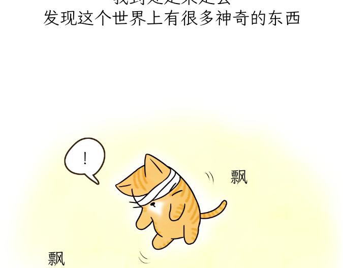 《吐司猫咪POUNDCAT》生命的故事 第14页