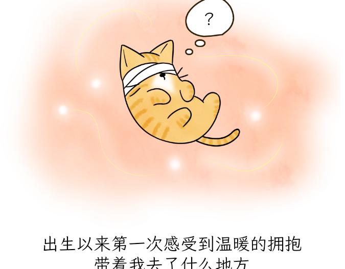 《吐司猫咪POUNDCAT》生命的故事 第16页