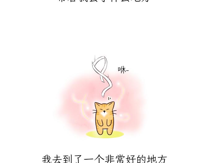 《吐司猫咪POUNDCAT》生命的故事 第17页