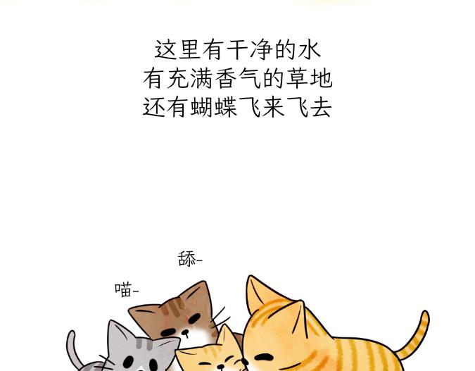 《吐司猫咪POUNDCAT》生命的故事 第20页