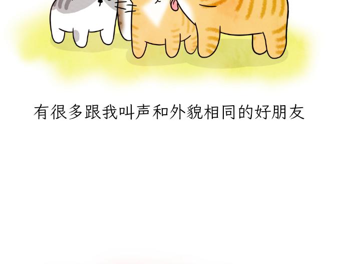 《吐司猫咪POUNDCAT》生命的故事 第21页