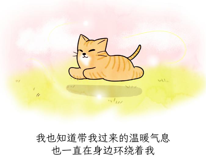 《吐司猫咪POUNDCAT》生命的故事 第22页