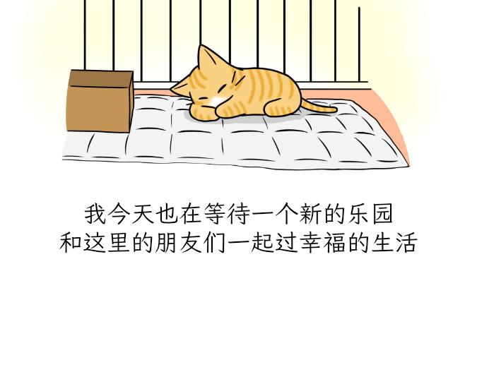 《吐司猫咪POUNDCAT》生命的故事 第28页