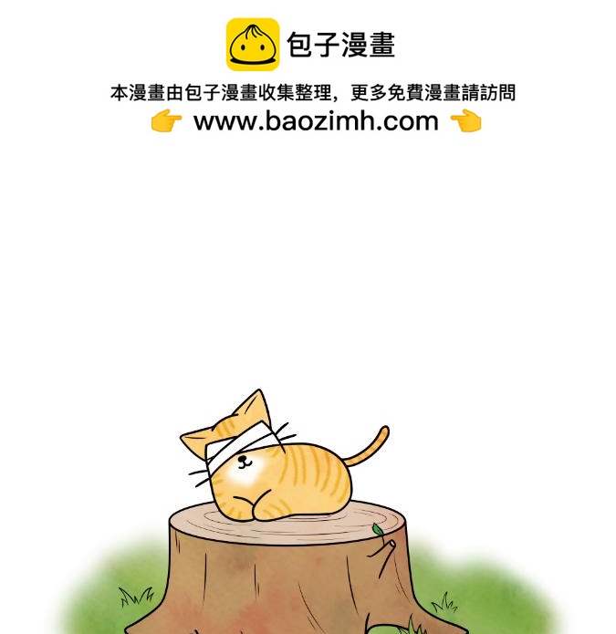 《吐司猫咪POUNDCAT》生命的故事 第2页