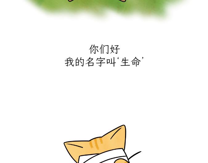 《吐司猫咪POUNDCAT》生命的故事 第3页