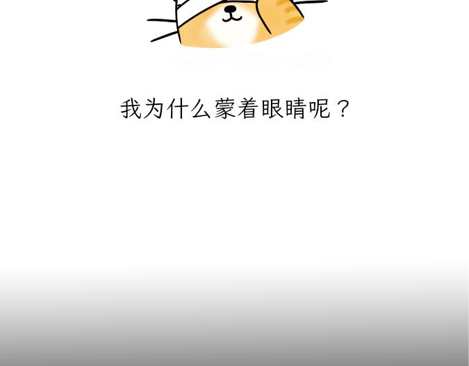 《吐司猫咪POUNDCAT》生命的故事 第4页