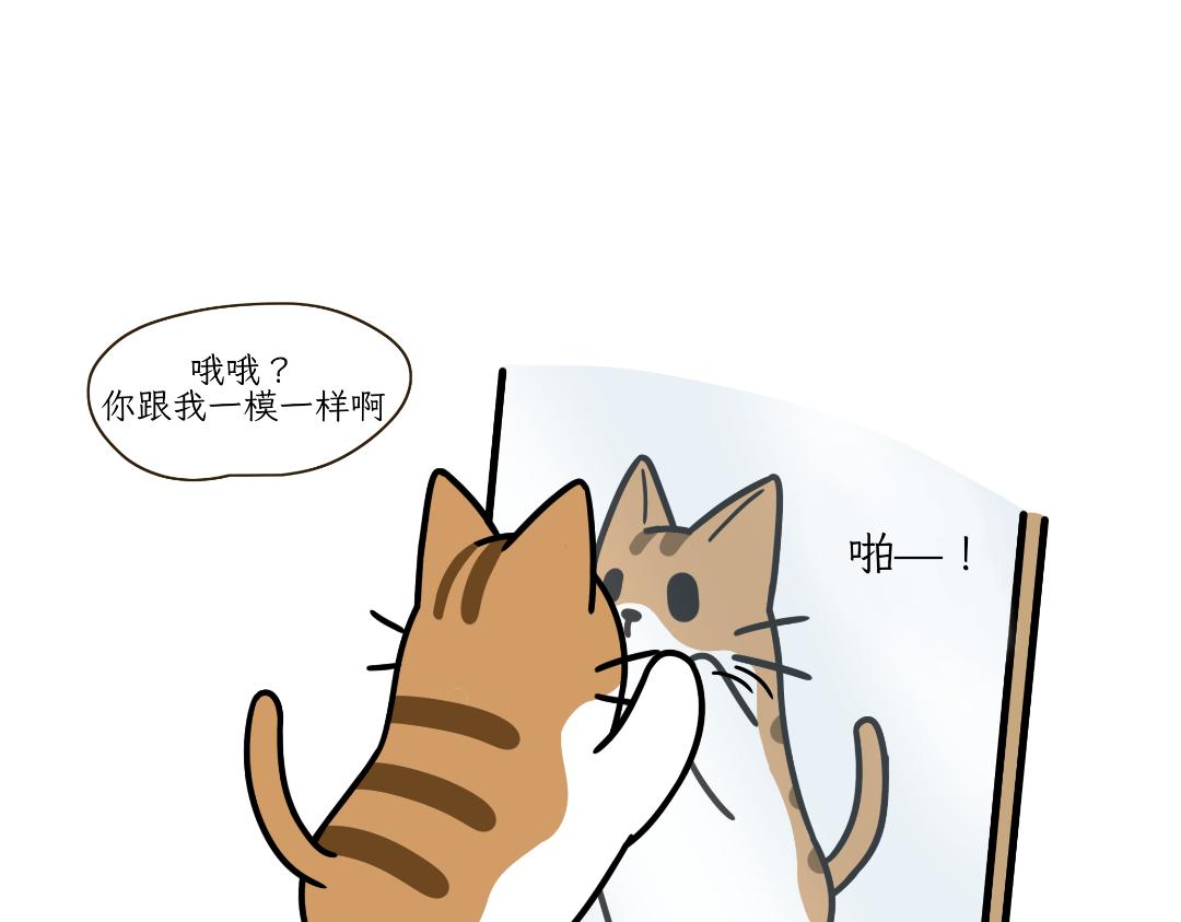 《吐司猫咪POUNDCAT》两个热可可？ 第10页