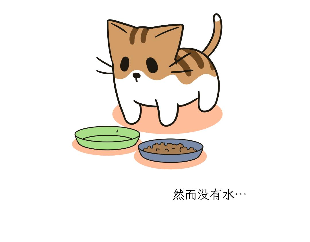 《吐司猫咪POUNDCAT》两个热可可？ 第16页