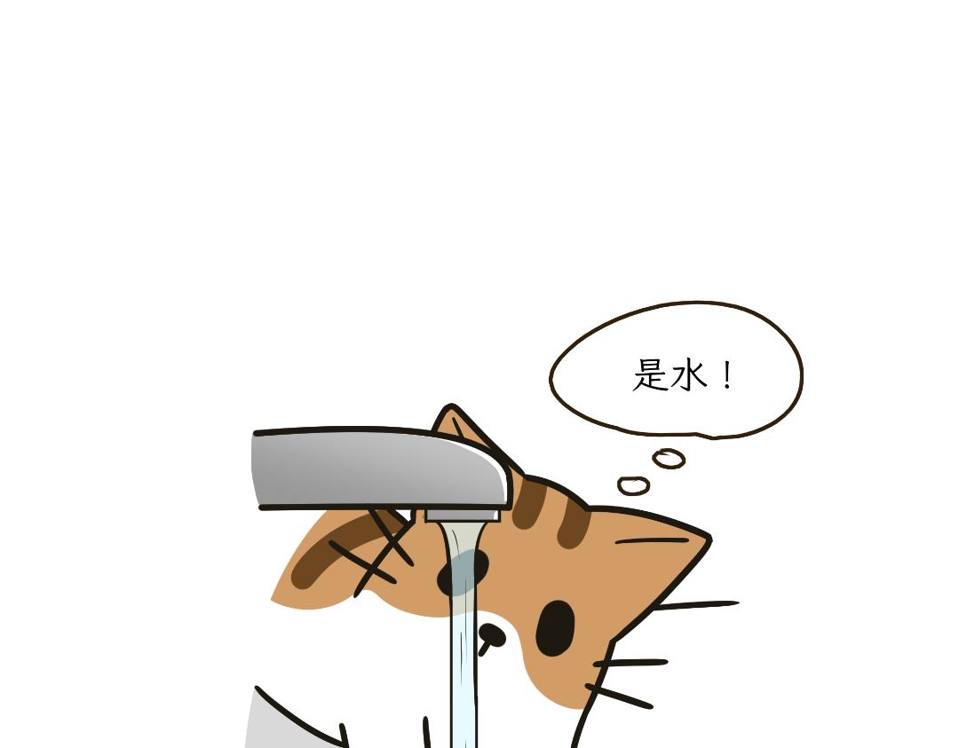 《吐司猫咪POUNDCAT》两个热可可？ 第22页