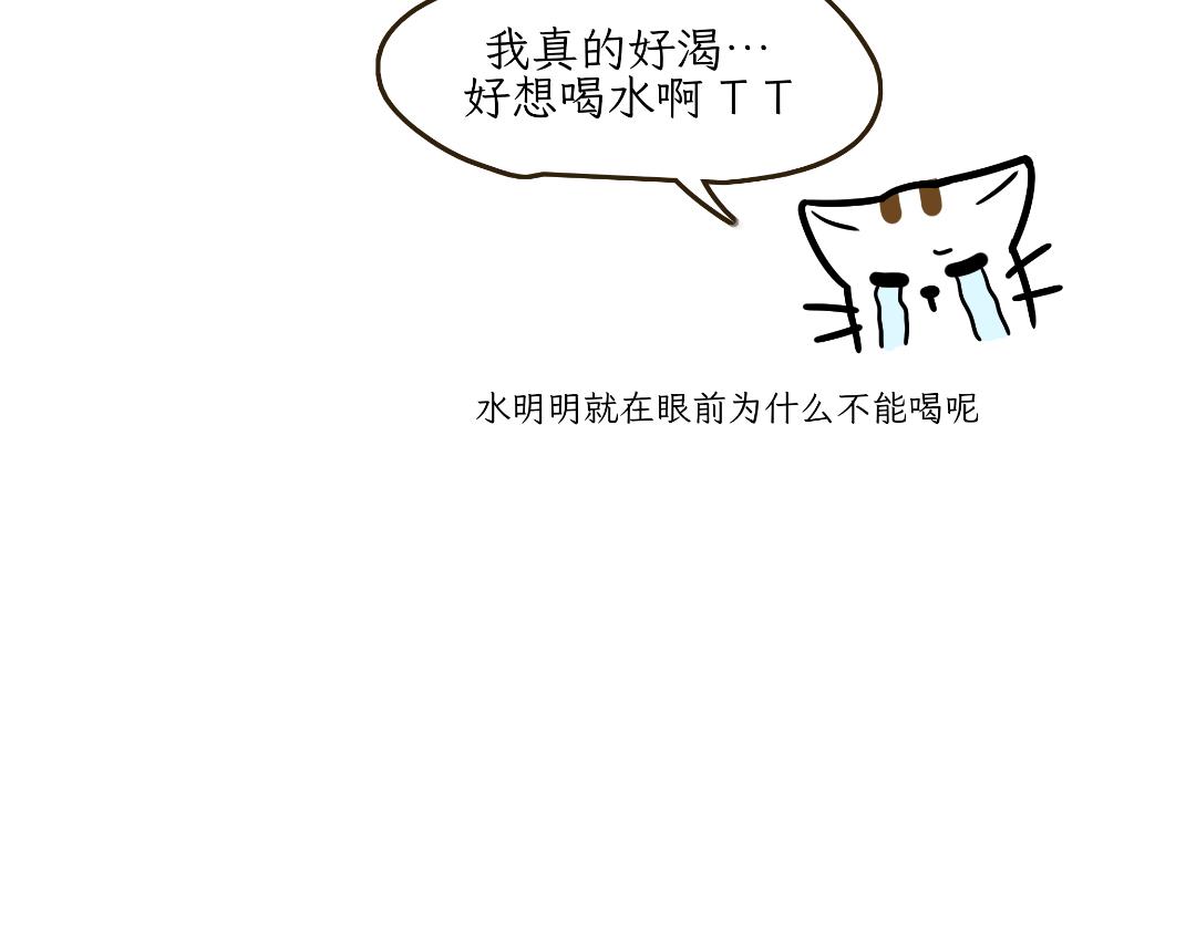 《吐司猫咪POUNDCAT》两个热可可？ 第28页