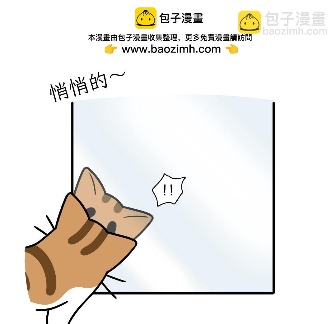 《吐司猫咪POUNDCAT》两个热可可？ 第7页
