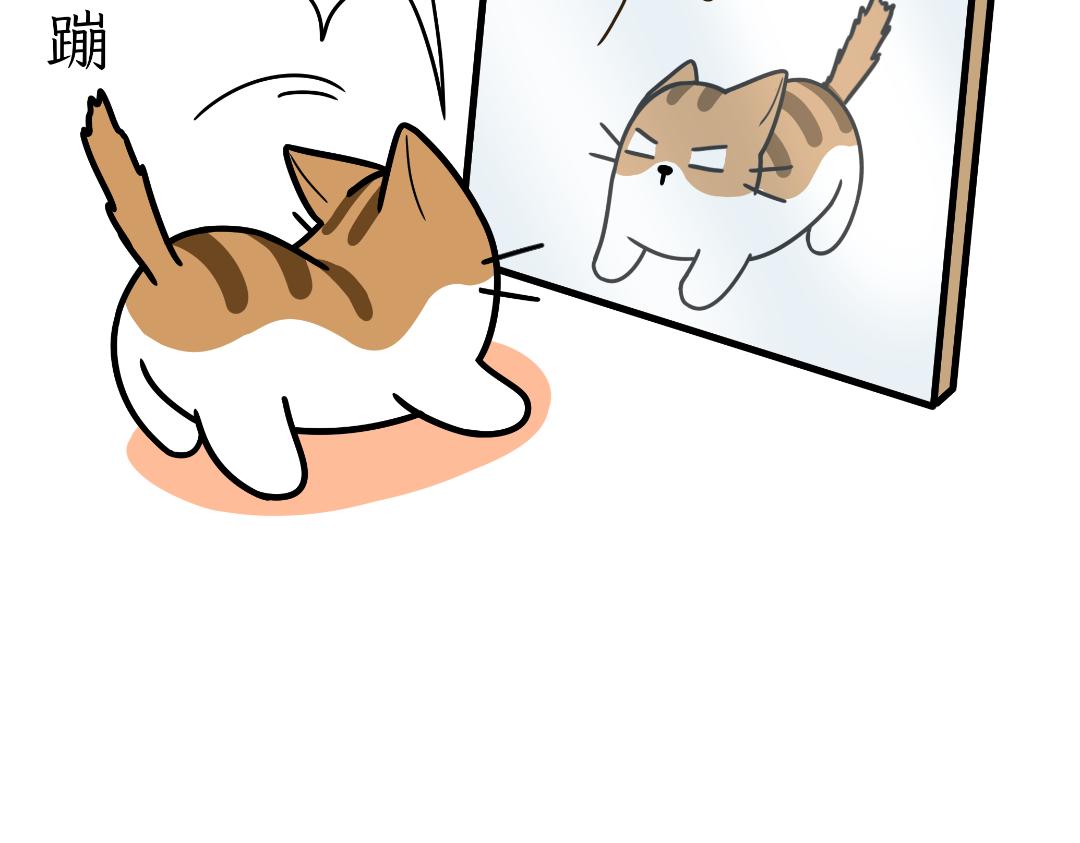 《吐司猫咪POUNDCAT》两个热可可？ 第9页