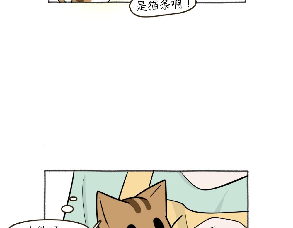 《吐司猫咪POUNDCAT》洗澡大作战 第11页