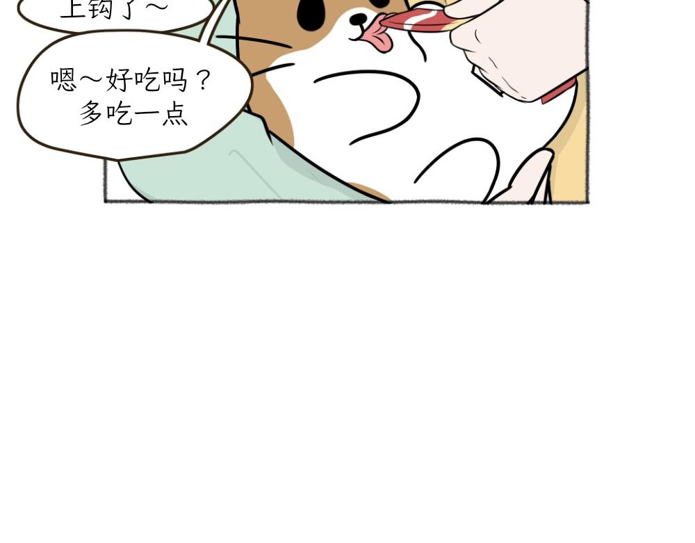 《吐司猫咪POUNDCAT》洗澡大作战 第12页