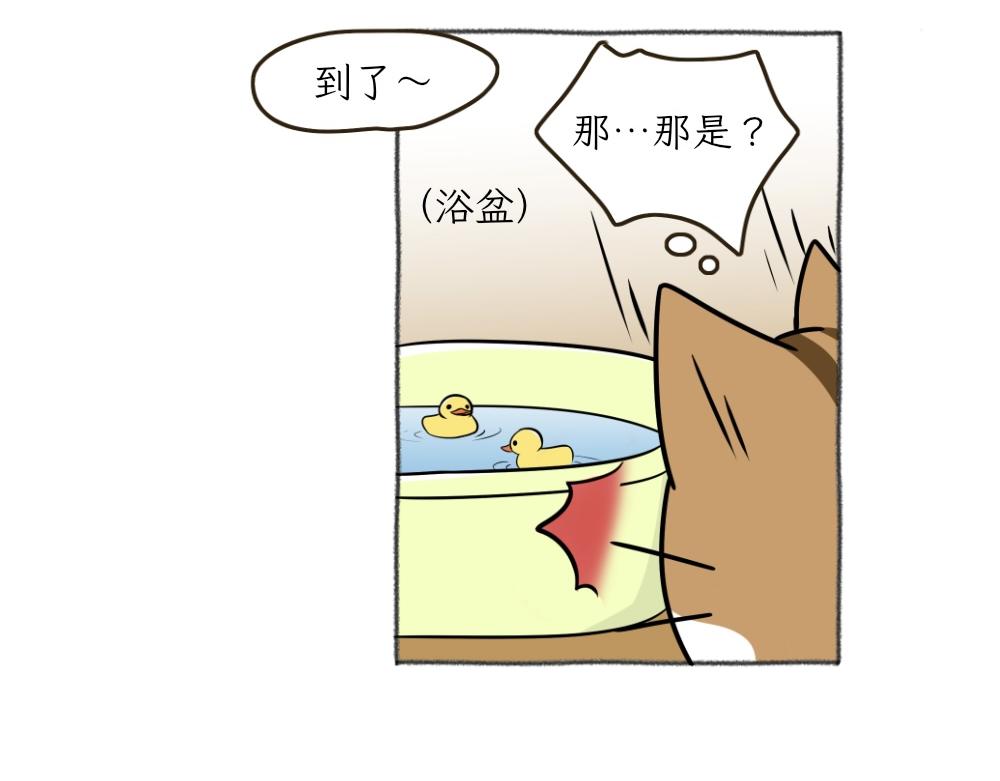 《吐司猫咪POUNDCAT》洗澡大作战 第13页