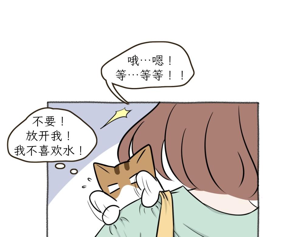 《吐司猫咪POUNDCAT》洗澡大作战 第14页