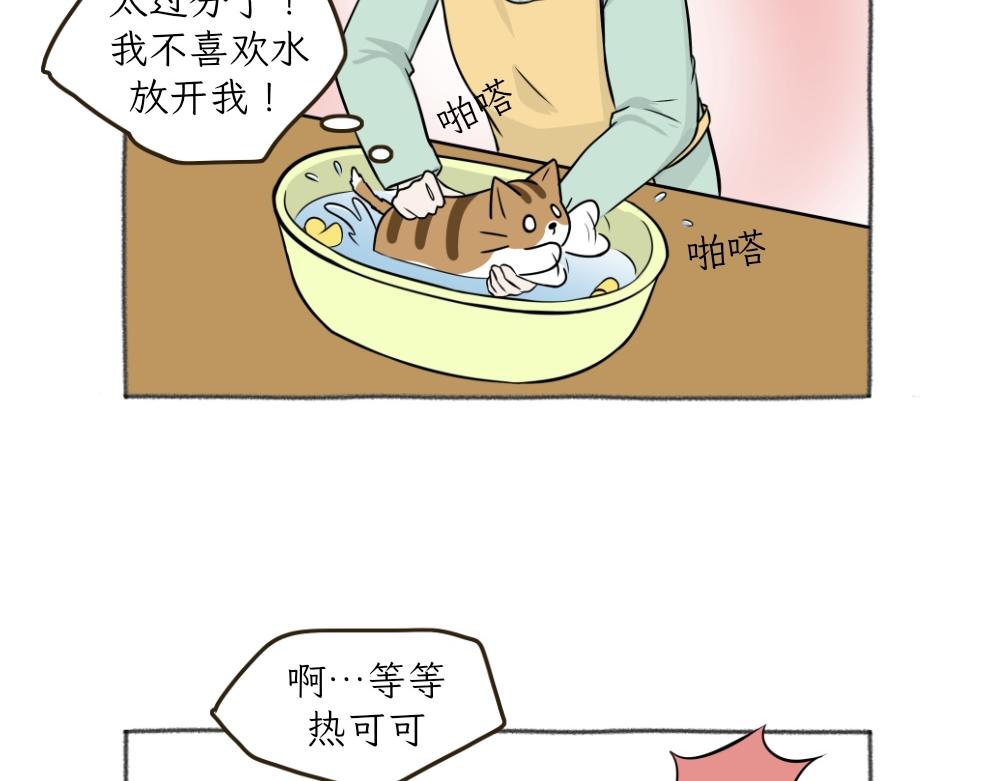 《吐司猫咪POUNDCAT》洗澡大作战 第16页