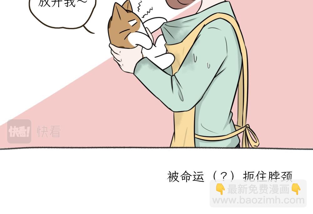 《吐司猫咪POUNDCAT》洗澡大作战 第19页