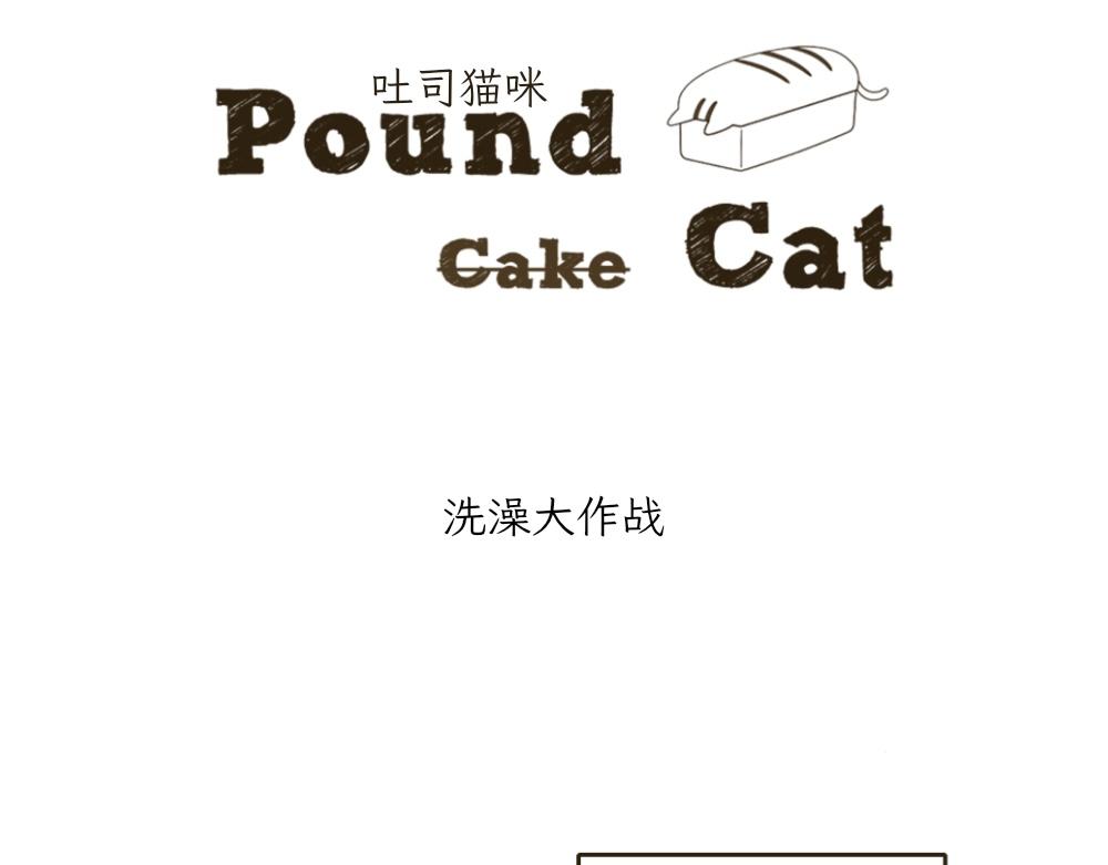 《吐司猫咪POUNDCAT》洗澡大作战 第1页