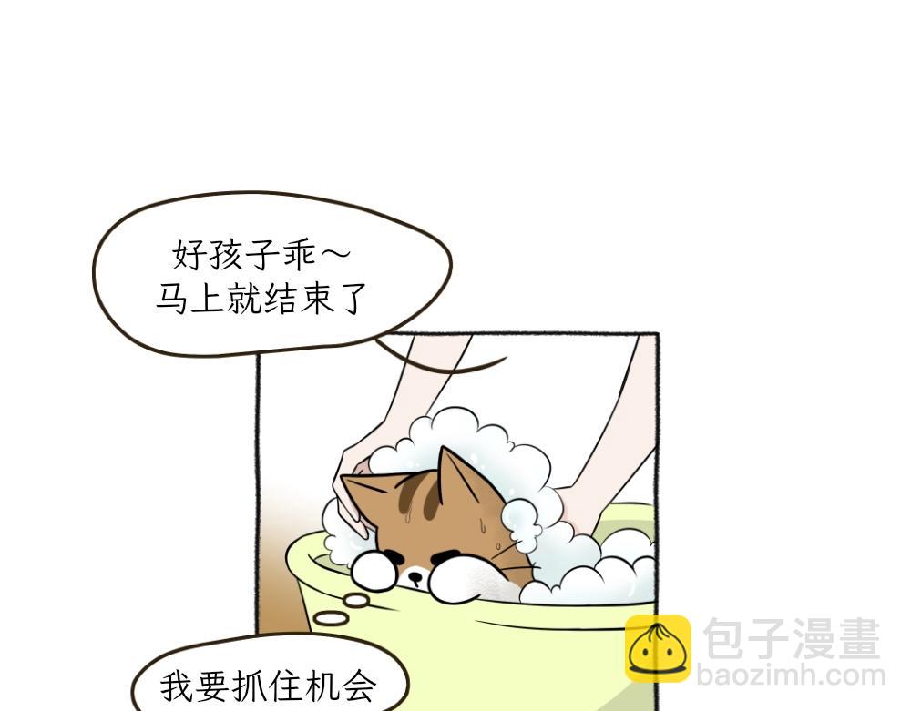 《吐司猫咪POUNDCAT》洗澡大作战 第20页