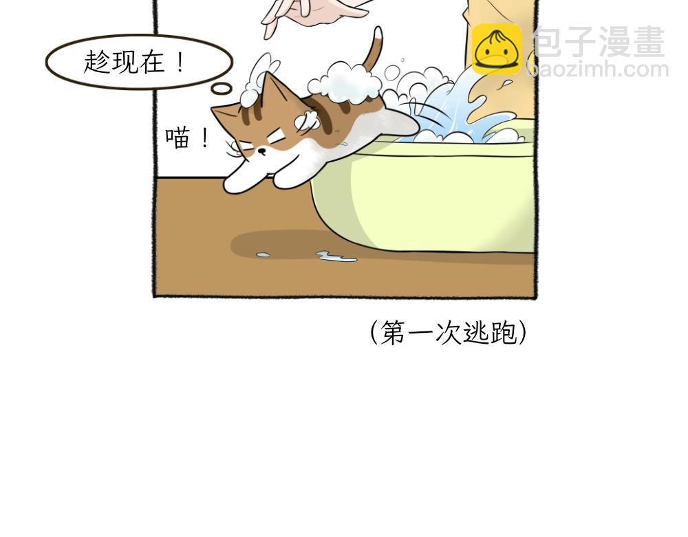 《吐司猫咪POUNDCAT》洗澡大作战 第22页