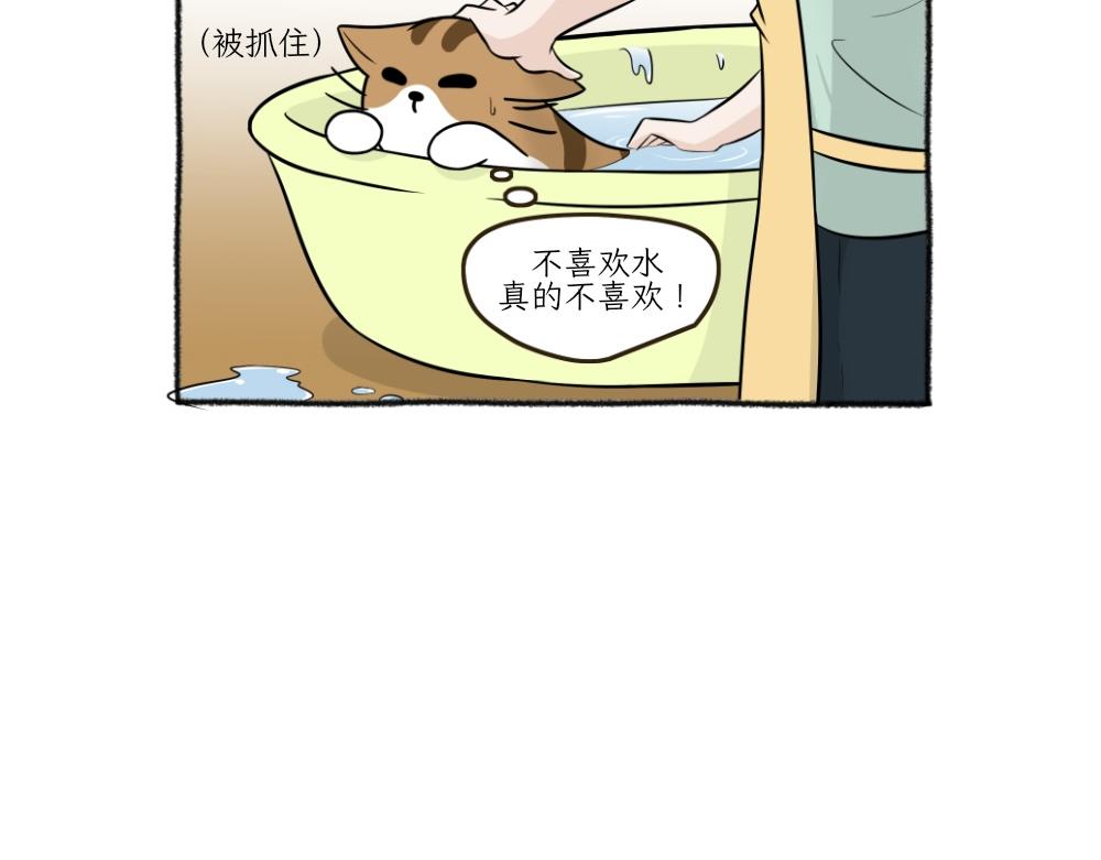 《吐司猫咪POUNDCAT》洗澡大作战 第25页
