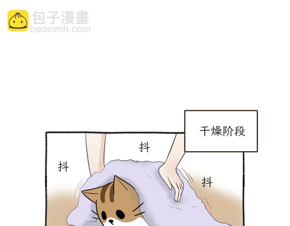 《吐司猫咪POUNDCAT》洗澡大作战 第32页