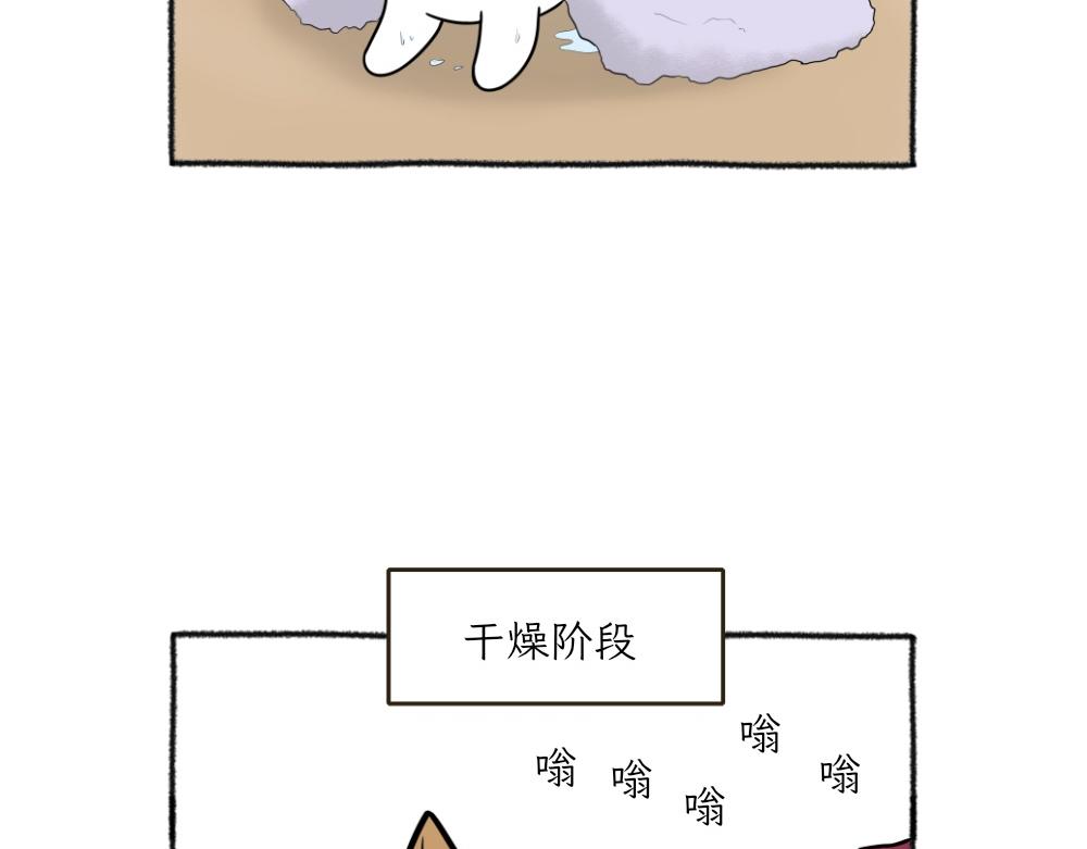 《吐司猫咪POUNDCAT》洗澡大作战 第33页