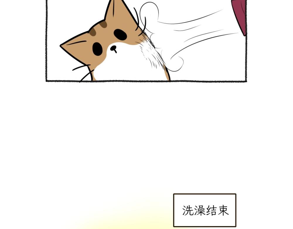 《吐司猫咪POUNDCAT》洗澡大作战 第34页