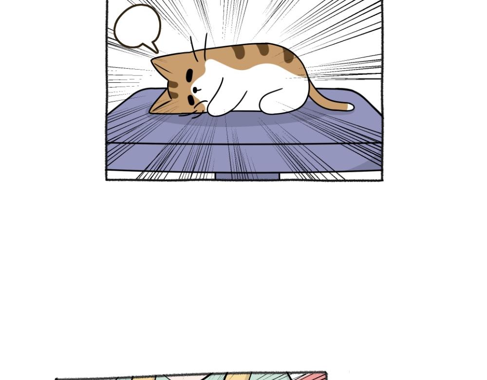 《吐司猫咪POUNDCAT》洗澡大作战 第3页