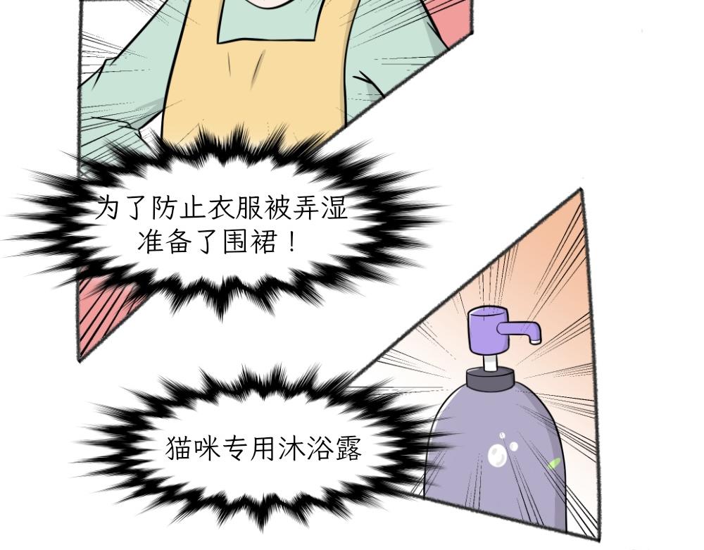 《吐司猫咪POUNDCAT》洗澡大作战 第4页