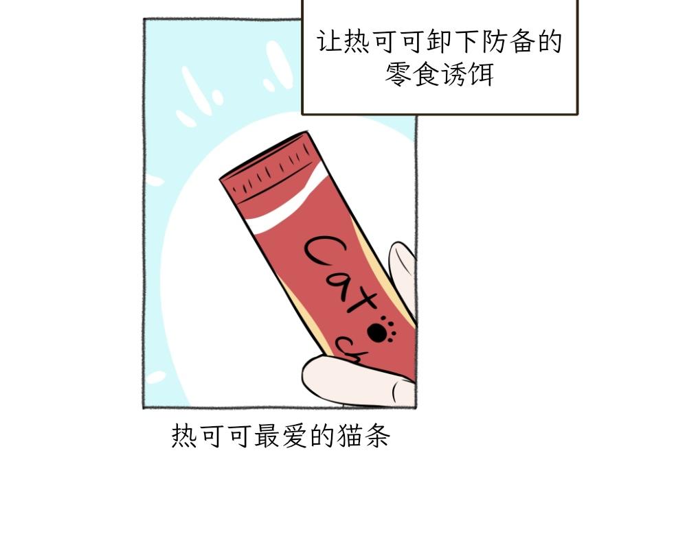 《吐司猫咪POUNDCAT》洗澡大作战 第6页