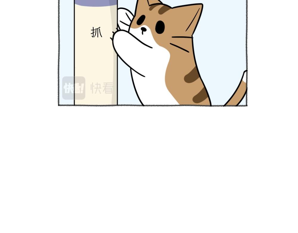《吐司猫咪POUNDCAT》洗澡大作战 第9页