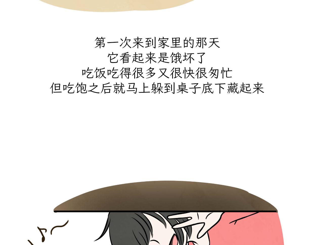 《吐司猫咪POUNDCAT》宝贝的过去 第10页