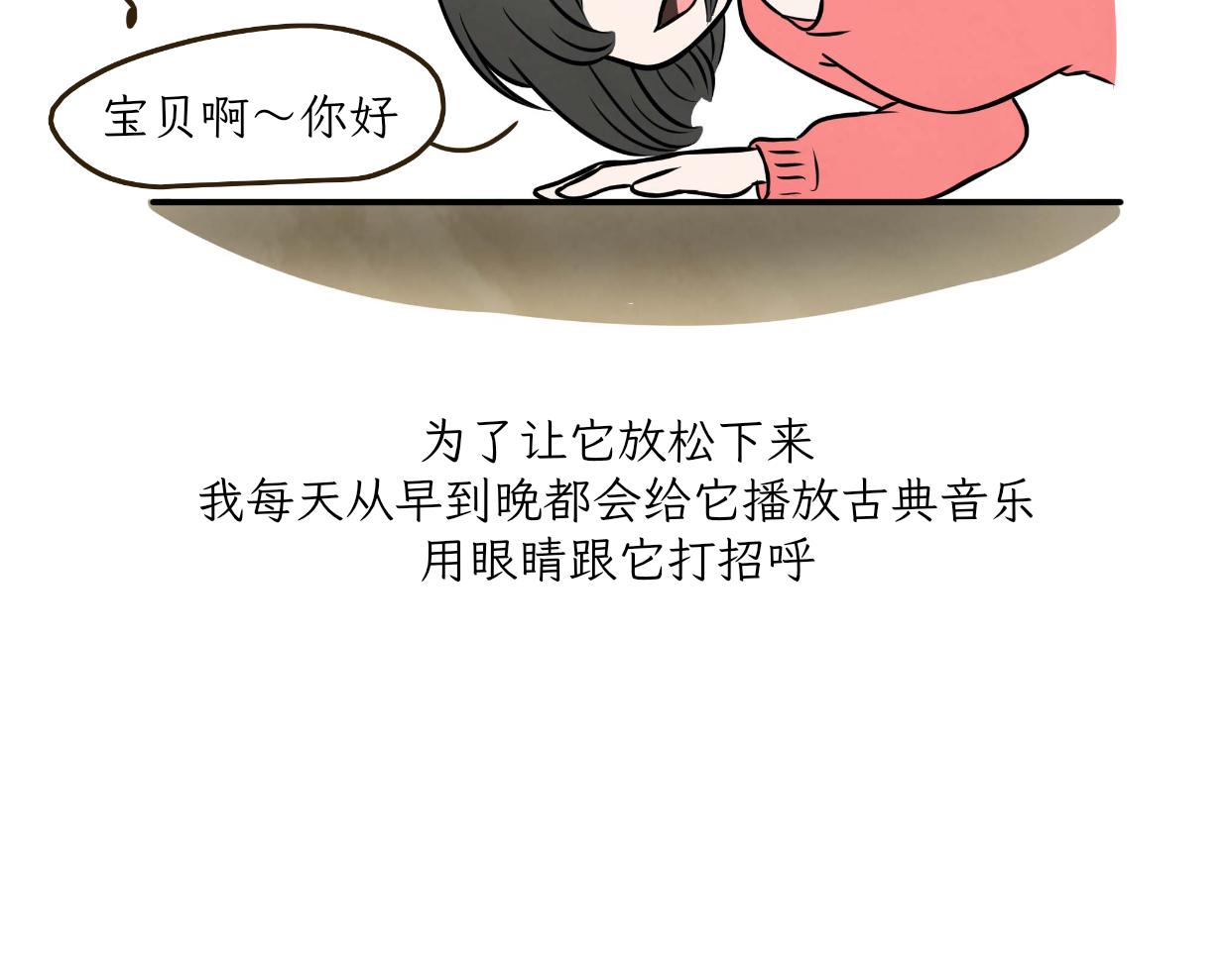 《吐司猫咪POUNDCAT》宝贝的过去 第11页