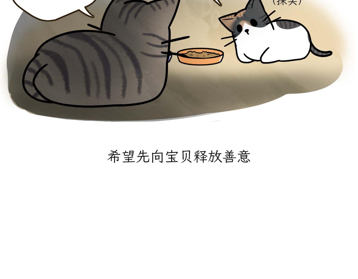 《吐司猫咪POUNDCAT》宝贝的过去 第14页
