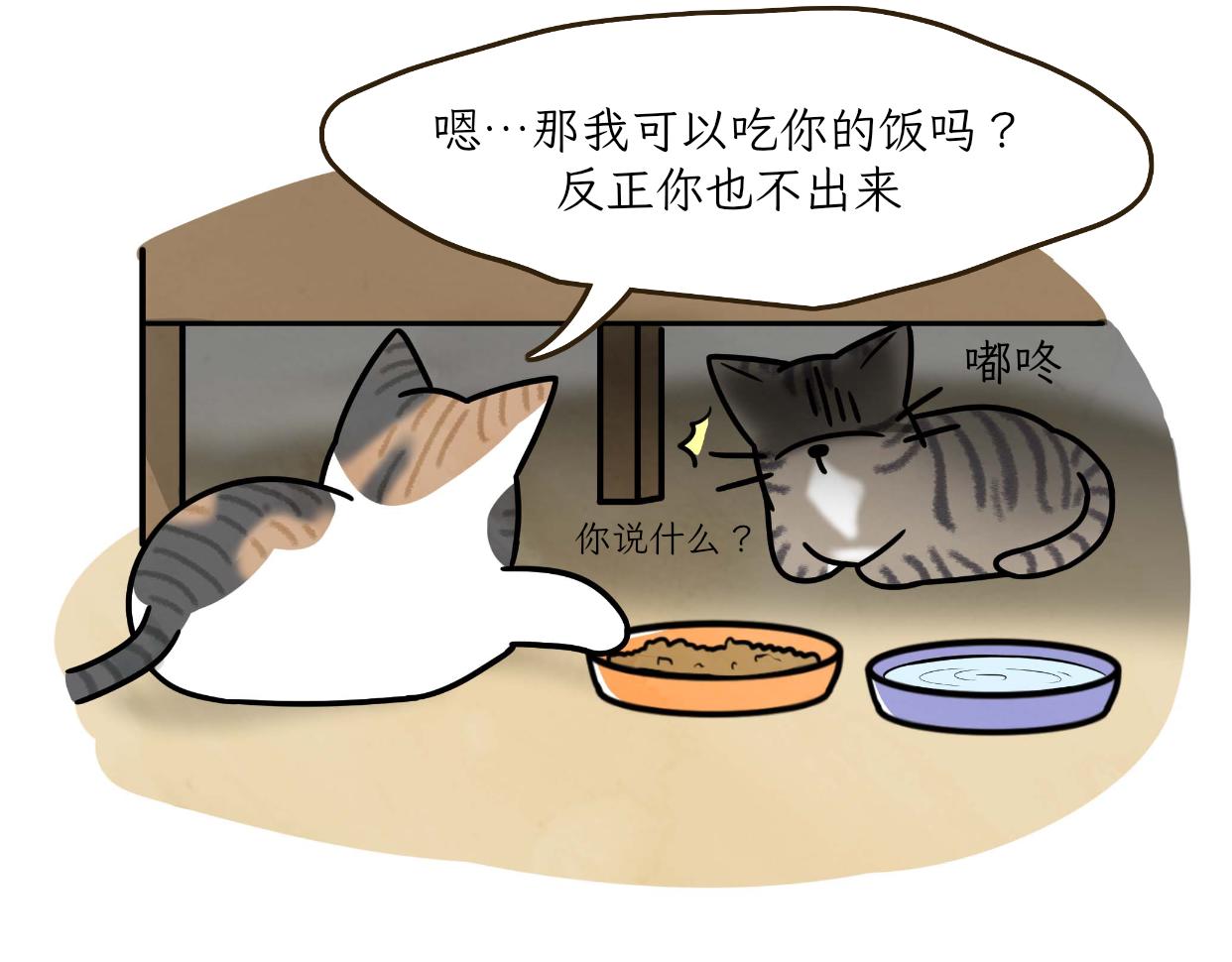《吐司猫咪POUNDCAT》宝贝的过去 第15页