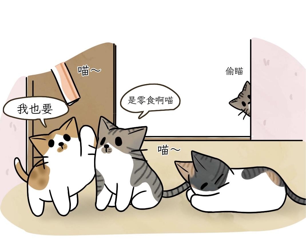 《吐司猫咪POUNDCAT》宝贝的过去 第17页