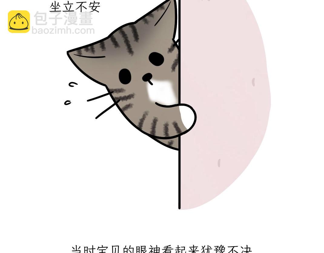 《吐司猫咪POUNDCAT》宝贝的过去 第19页