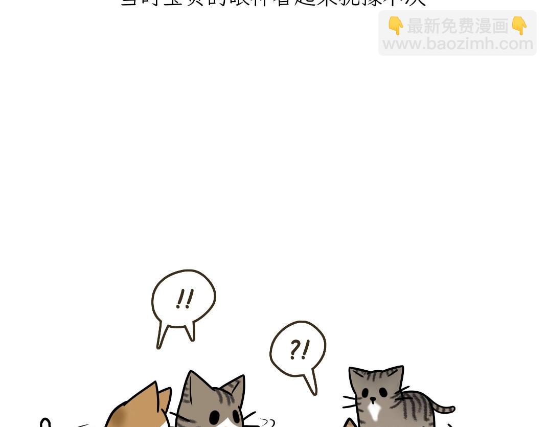 《吐司猫咪POUNDCAT》宝贝的过去 第20页