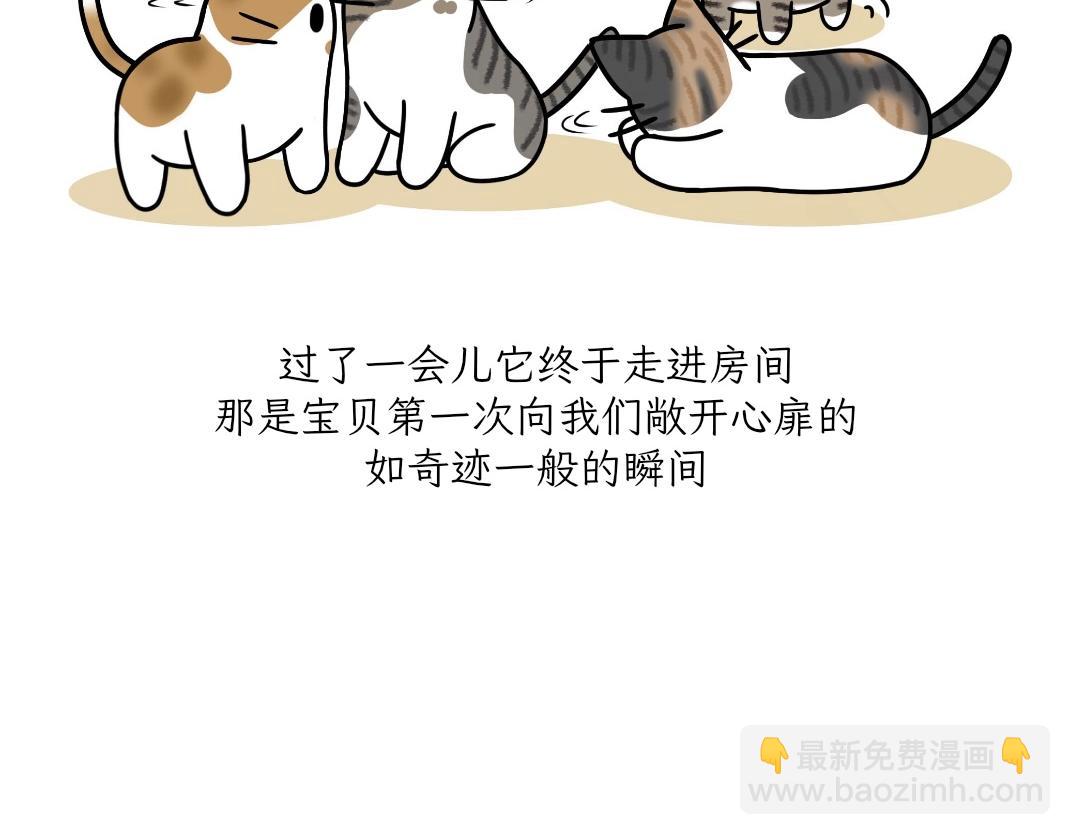 《吐司猫咪POUNDCAT》宝贝的过去 第21页