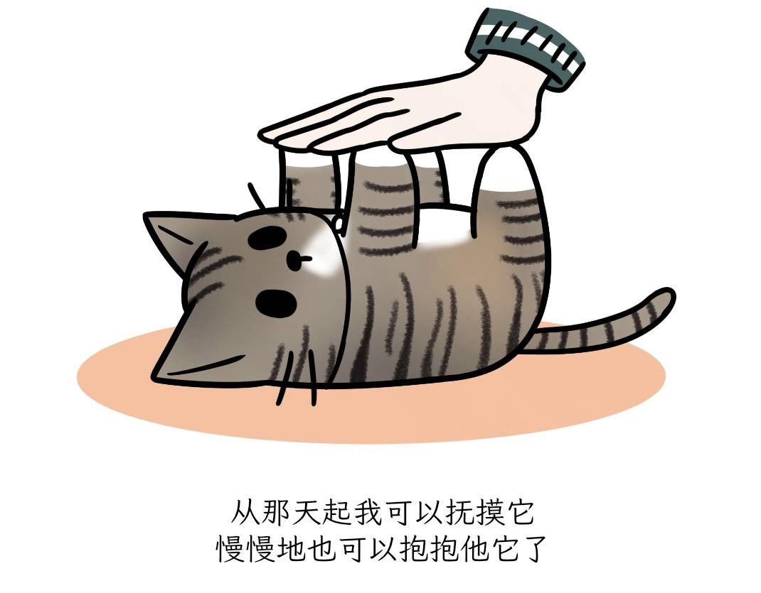 《吐司猫咪POUNDCAT》宝贝的过去 第22页